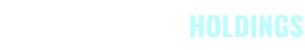 SuccessBridge Holdings